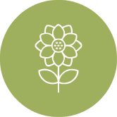 Icône représentant des fleurs locales et de saison