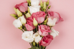 Bouquet Tendresse amoureuse composé de fleurs roses et blanches délicates, sublimées par un élégant ruban rose
