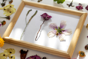Cadre végétal composé de fleurs pressées et éléments botaniques délicatement conservés dans un cadre décoratif naturel