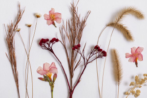 Cadre Tableau fleuri composé de fleurs pressées, graminées séchées et feuillages délicats dans des tons naturels et doux
